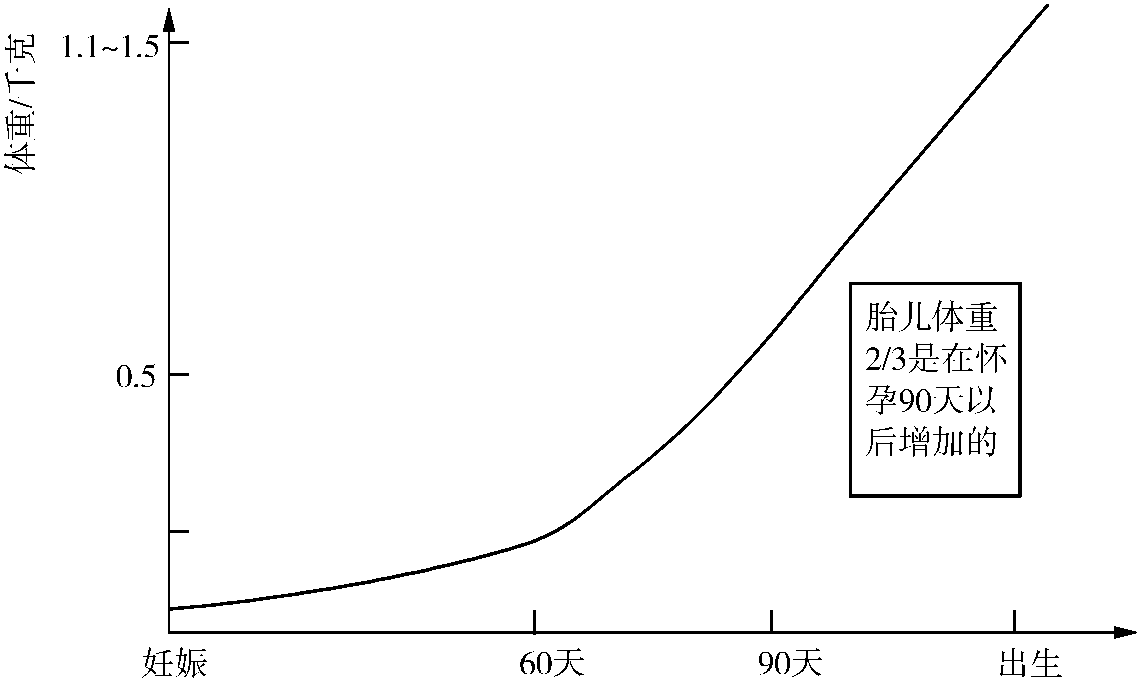 胚胎生長(zhǎng)發(fā)育階段